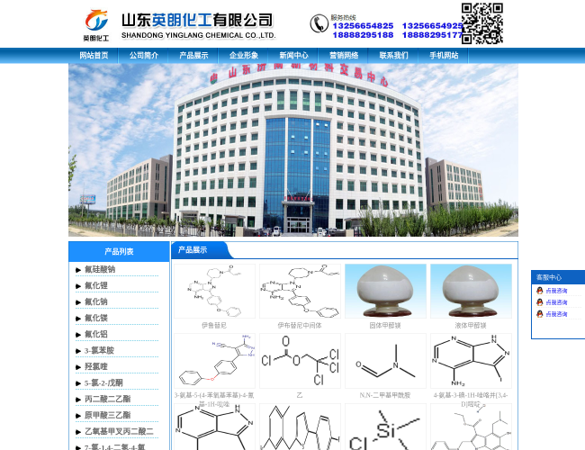 山东英朗化工首页截图，仅供参考